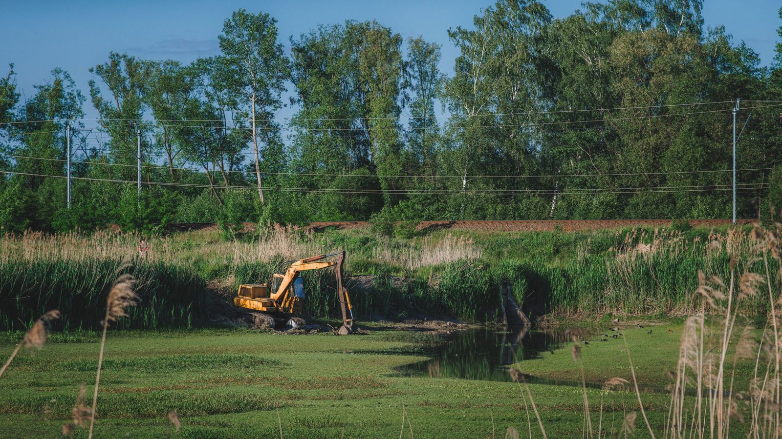 Site work and house pads